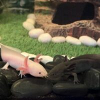 Profile photo of George